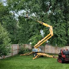 Best Hazardous Tree Removal  in Burgin, KY