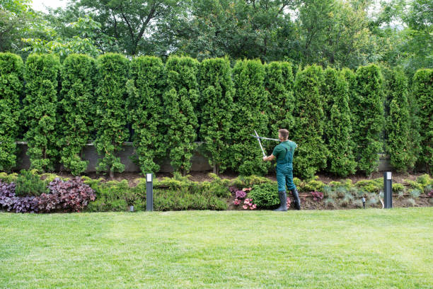Best Artificial Turf Installation  in Burgin, KY